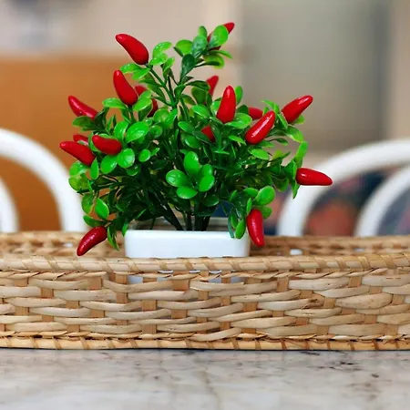 アパート Via Colombo 12 Bilo ボナッソーラ